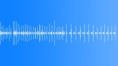 Walking In The ForestSound Effect