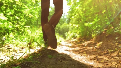 Walking in the forest on a sunny day.Bottom angle. Footages UHD 4K 60FPS Stock Footage 113277814