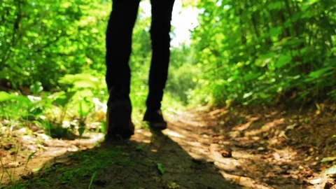 Walking in the forest on a sunny day.Bottom angle. Footages UHD 4K 60FPS Video stock 113277829