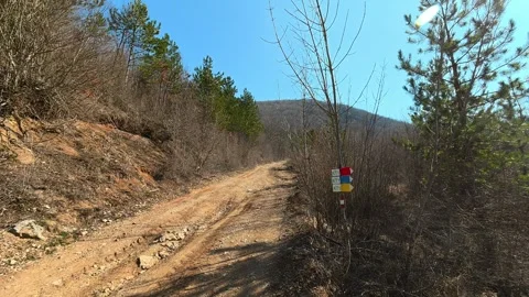 Walking Forest Trail to Dirt Road – POV Turn Right and Stop Video stock 330657369
