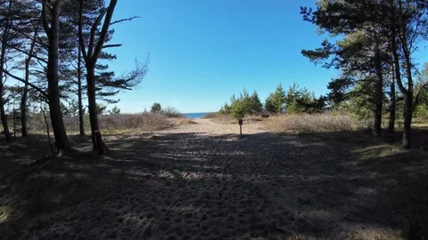 Walking from forest trail toward sunny beach, stabilized POV shot Stock Footage 337557597