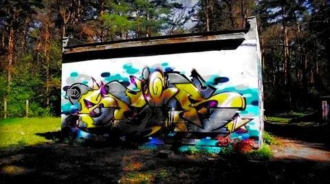 Walking in forest_original. Timelapse Stock-Footage 49611932