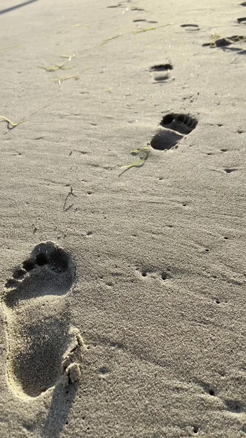 Walking forward along human footprints in wet sand Video stock 344536569