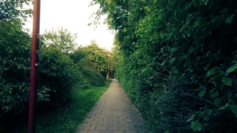 Walking forward between green environment on stone path 4k 動画素材 130223334