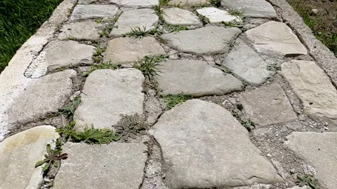 Walking forward on cobblestone pathway. Stock Footage 194691515