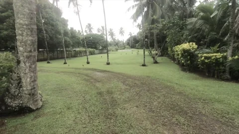 Walking forward moving view of a well maintain spacious garden  Stock Footage 233601600