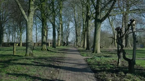 Walking forward on a pathway through bare trees in a park Stockbeeldmateriaal 331188655