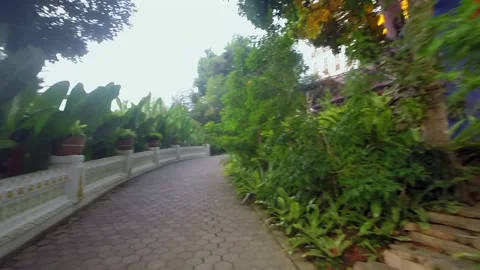 Walking forward on a scenic path in a lush green park or garden Vídeo Stock 345653401
