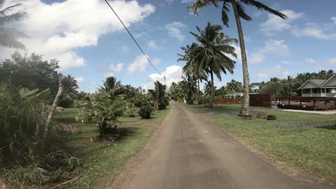 Walking forward view of open field of a pave dirt road with coconut trees  Stock Footage 233673880