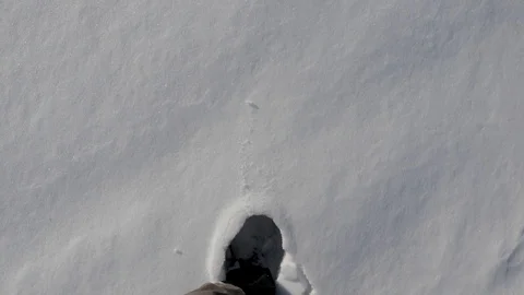 Walking in the fresh snow Видео 121965919