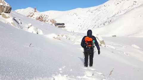 Walking in the fresh snow Stock Footage 239348491