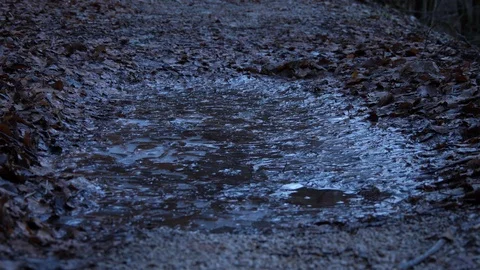 Walking on a frozen puddle in the forest Stock-Footage 123218115