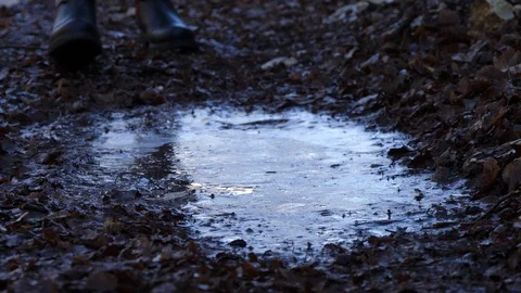 Walking on a frozen puddle in the forest 스톡 동영상 124030927