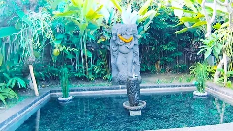 Walking in the garden, small pool and flower Stock Footage 78074601