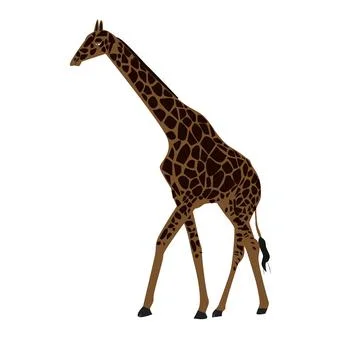 Walking Giraffe Side View Tall African Animal With Brown Spots Isolated On White Stock-Illustration