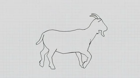 Walking goat on a notepad background. Stock Footage 144316057