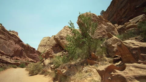 Walking at a gorge between big rocks at Capitol Reef NP Stock Footage 209147906