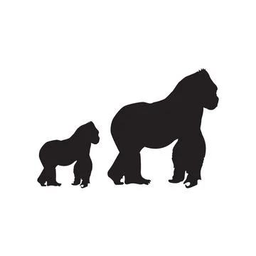 Walking gorilla vector silhouette Stock Illustration