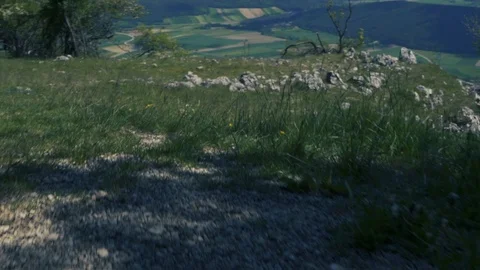 Walking in gras on a high mountain Stock Footage 112777959