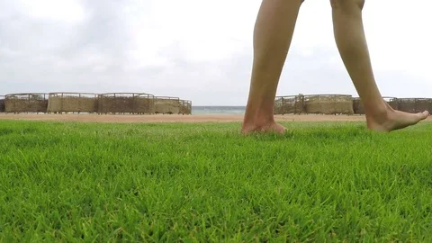 Walking on the grass Stock Footage 74069753