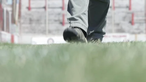 Walking on Grass Stock Footage 95541862