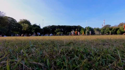 Walking on grass Stock Footage 170647249