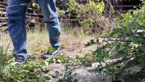 Walking on the grass Stock Footage 219521032