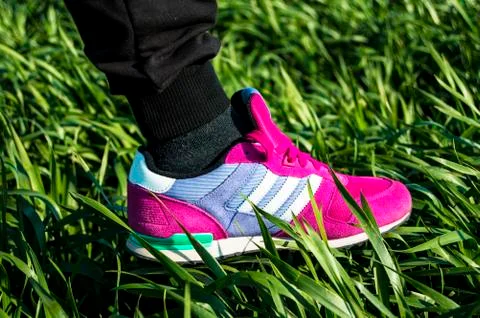 Walking on grass Stock Photos