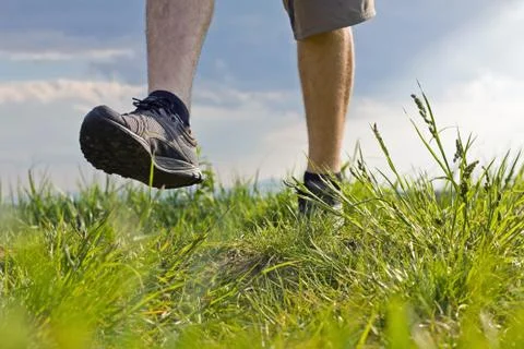 Walking on grass Stock Photos