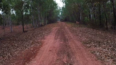 Walking on gravel path in forest Stock Footage 85656894