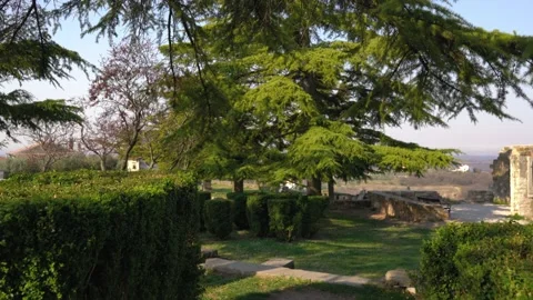 Walking in green courtyard behind St. Martin's Church Stock Footage 180510841