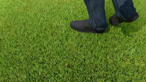 Walking on green grass 3D render foot Stock-Illustration