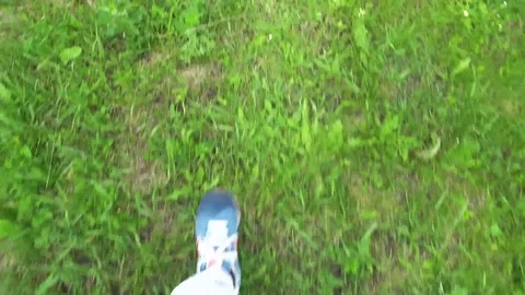 Walking in a green grass field, looking down, first-person view Stock-Footage 76208072