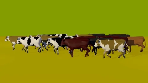 WALKING GROUP OF COWS LEFT SIDE VIEW Vídeos de archivo 74968418