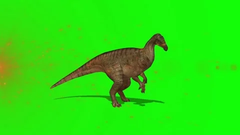 Walking Hadrosaur Dinosaur on Green Screen Background with Floating Particles Stock-Footage 338368316