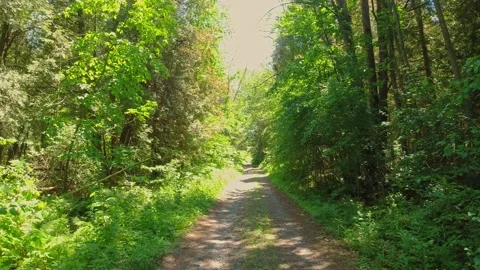 Walking at Happy Spring day. Beautiful natural greenery background. Ecology.. Видео 223374928