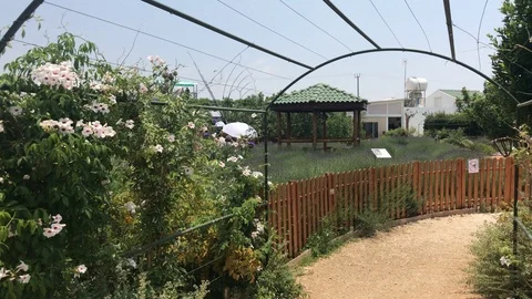 Walking at a Herbal Theme Park Stock Footage 111004683