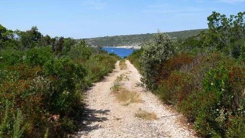 Walking on hidden path to find beach 動画素材 112824733