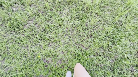 Walking Into A Hidden Tropical Landscape In Ecopark Stock Footage 336978138