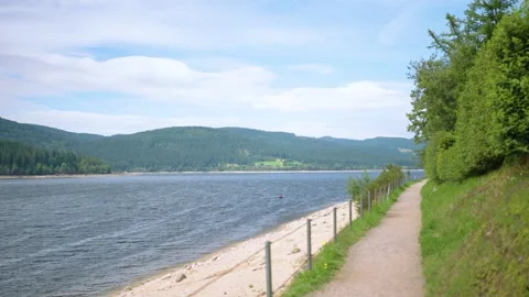 Walking on hiking path at sunny and windy day at Schluchsee Schwarzwald Blac Video stock 331316475