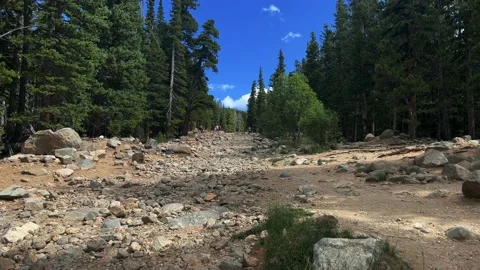 Walking up hiking, struggling Stock Footage 204765286