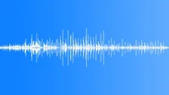 Walking Horse, Carriage Sound Effect