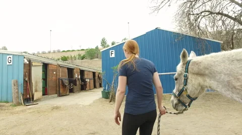 Walking a Horse at a Stable Stock Footage 66888542