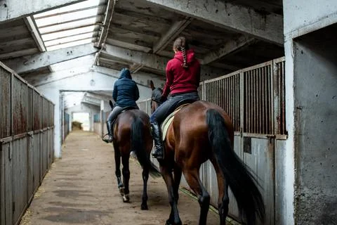 Walking horses in the stable Stock Photos