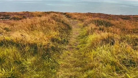 Walking on Howth Head, Dublin, Ireland. Stock Footage 141002381