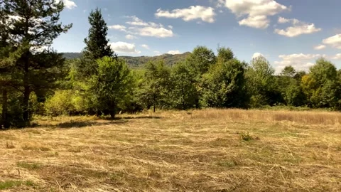 Walking In Huge Field In The Mountain. Forest Range In Distance. Sunny Day. Stock Footage 151149880