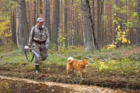 Walking hunter with dog Stock Photos