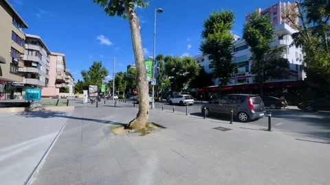 Walking with the husky on the street Stock Footage 247685116