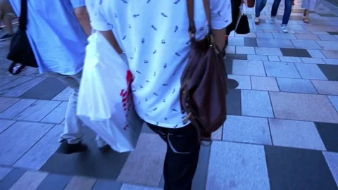 Walking image (Omotesando · Slavilizer used · 3 times speed) Stock Footage 71039473