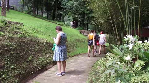 Walking to impressive Waterfall in Chiang Mai, Thailand Stock Footage 130700213